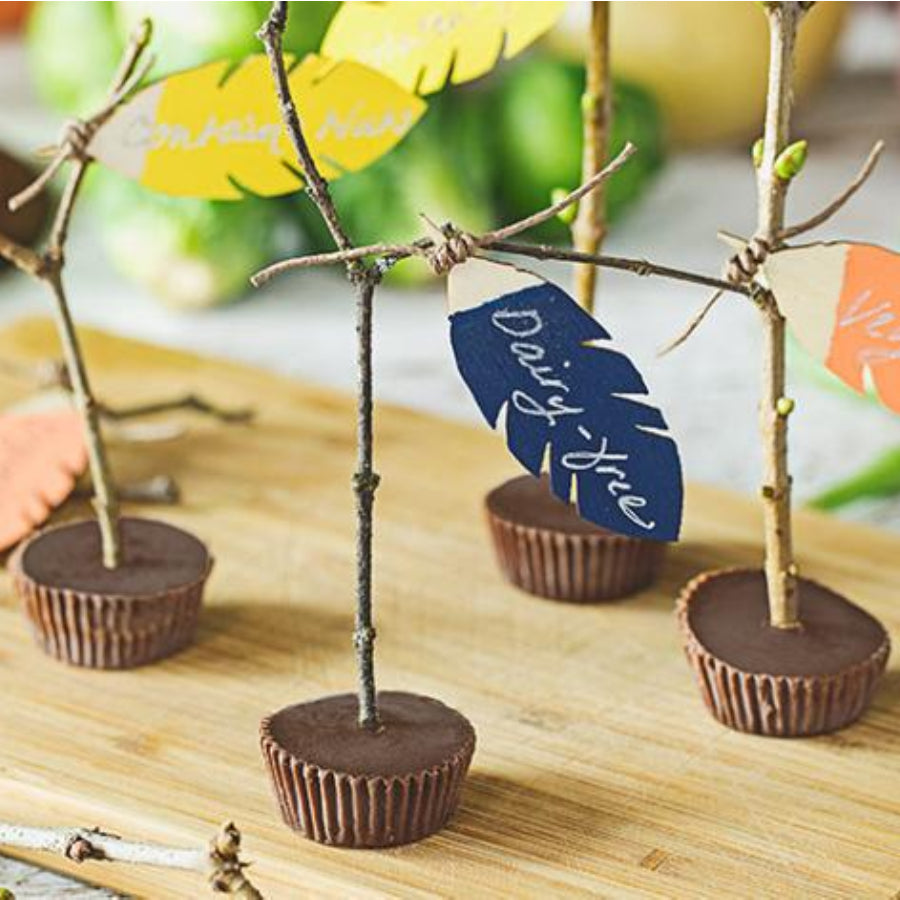 Sun Cup Minis with branches and paper cutout leaves planted in the middle