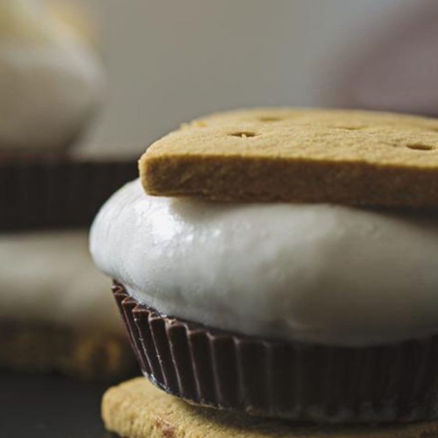 Perfectly Gooey Coconut Cream Sun Cup S'mores