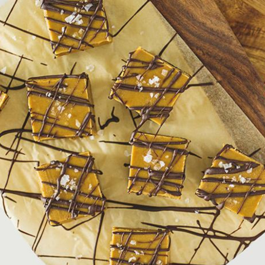 Sunbutter Chocolate Chip Freezer Fudge Squares Drizzled With Melted Chocolate