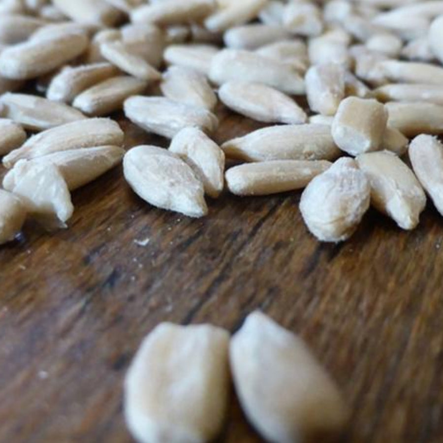 Sunflower Seeds on Table